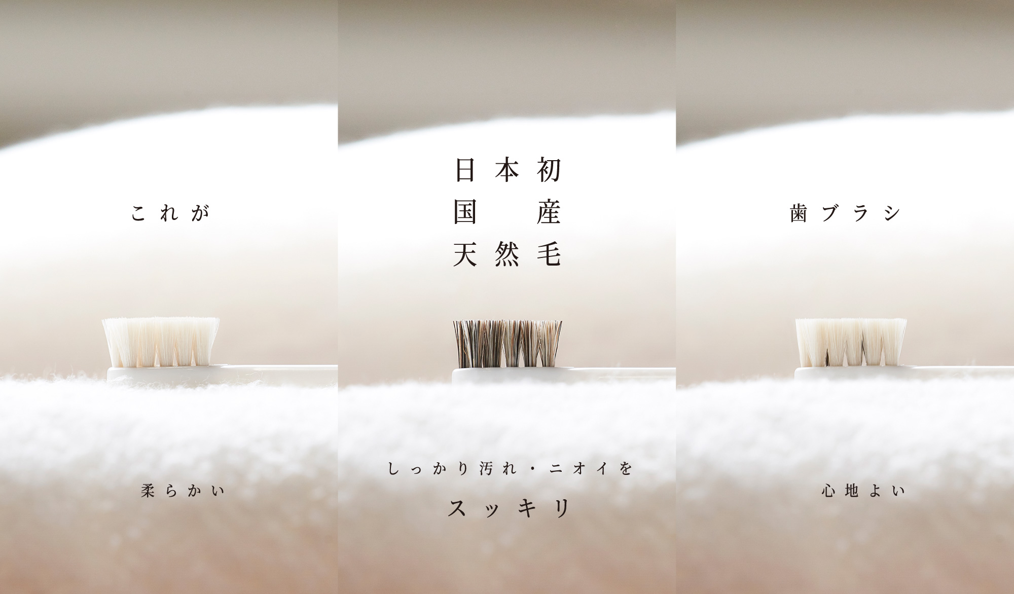 日本初国産天然毛