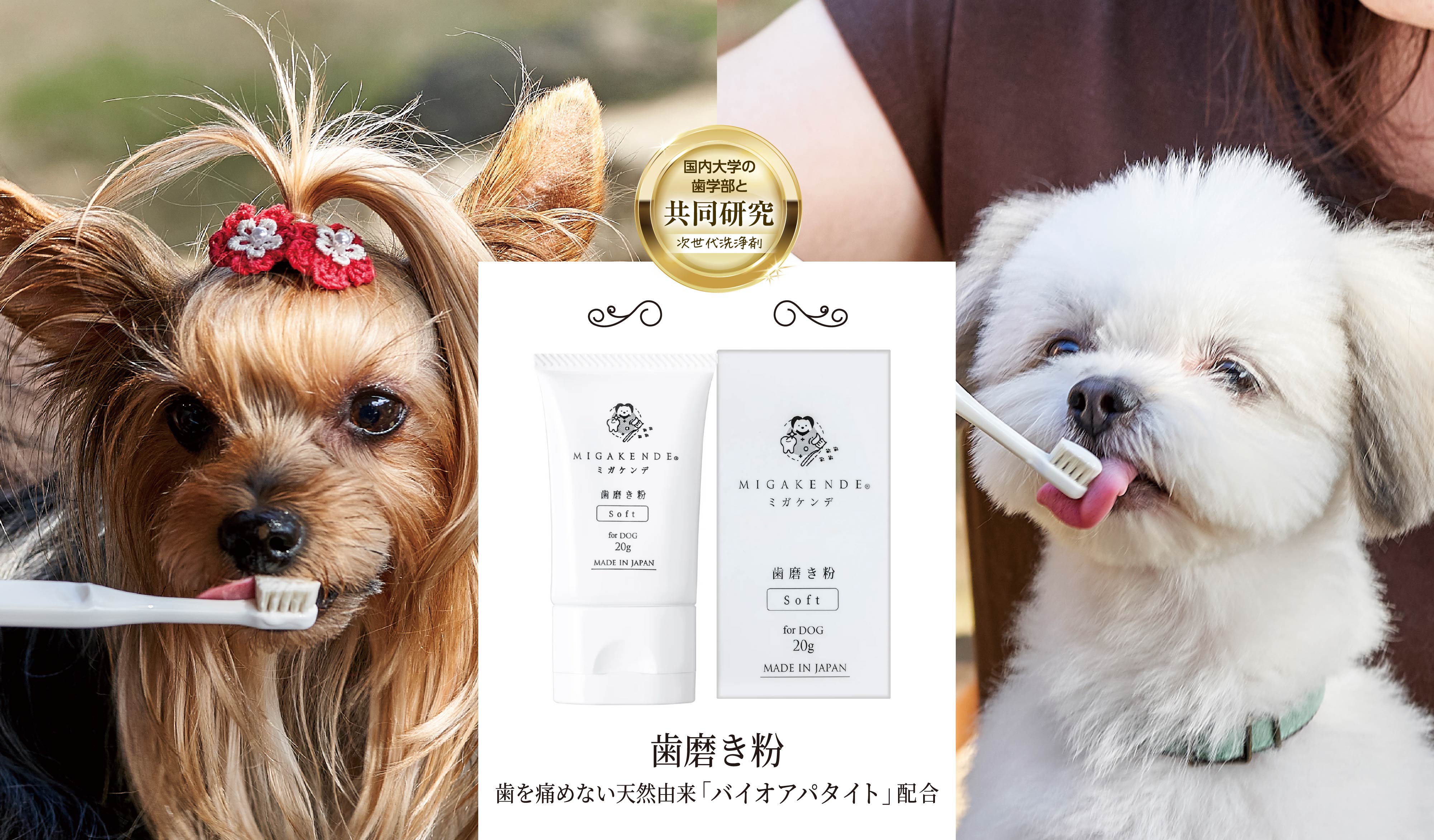 国内大学の歯学部と共同研究次世代洗浄剤