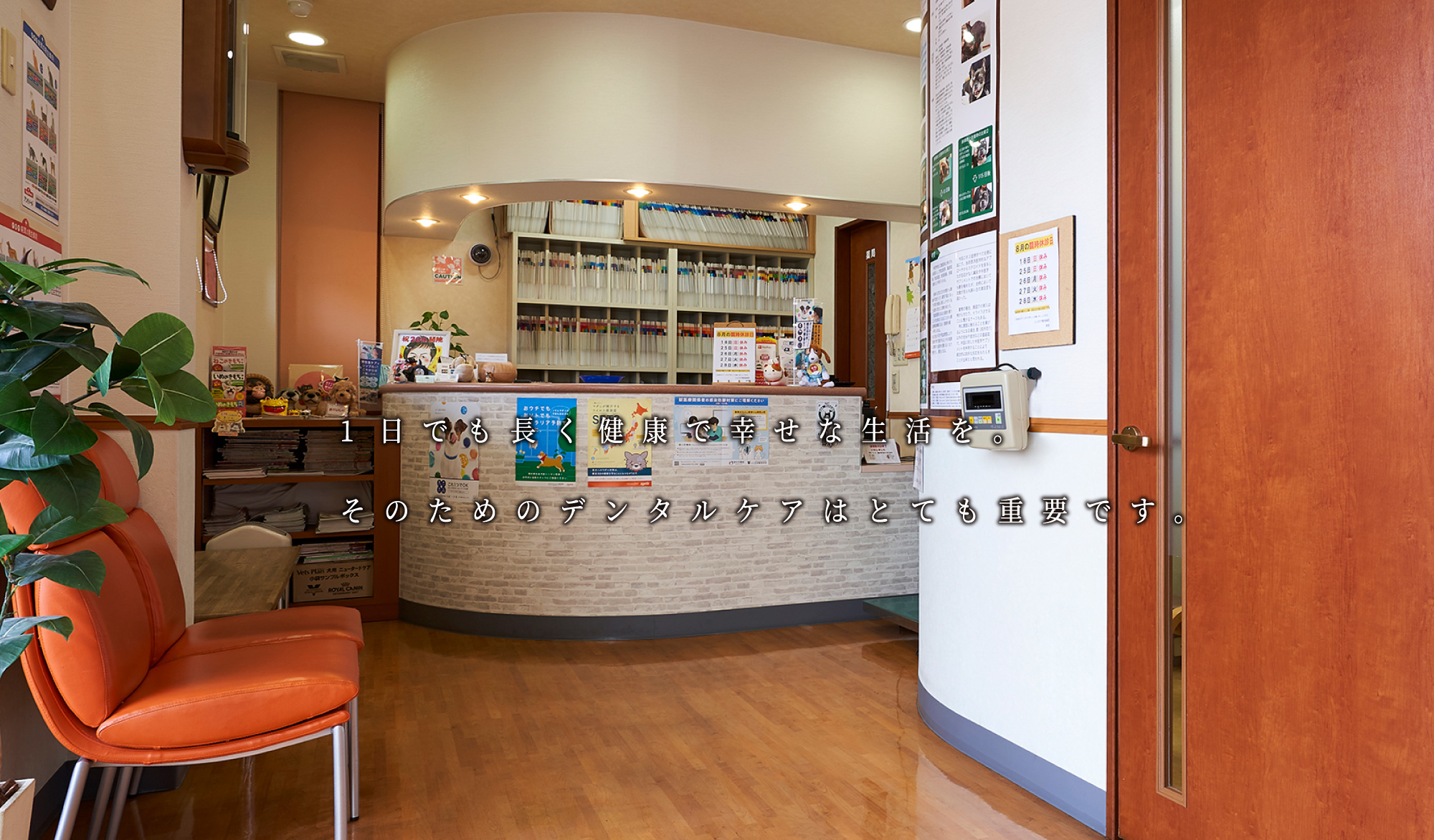 ご購入はコチラ